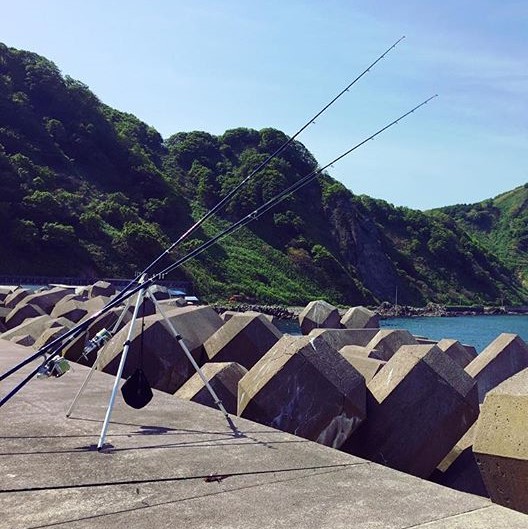 北海道 釣り 情報 かわぐち