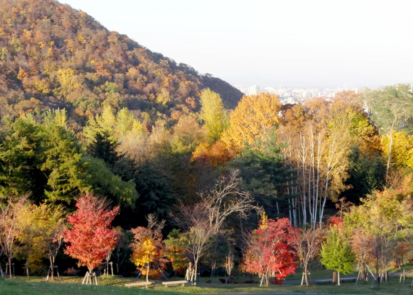 緑豊かな旭山記念公園
