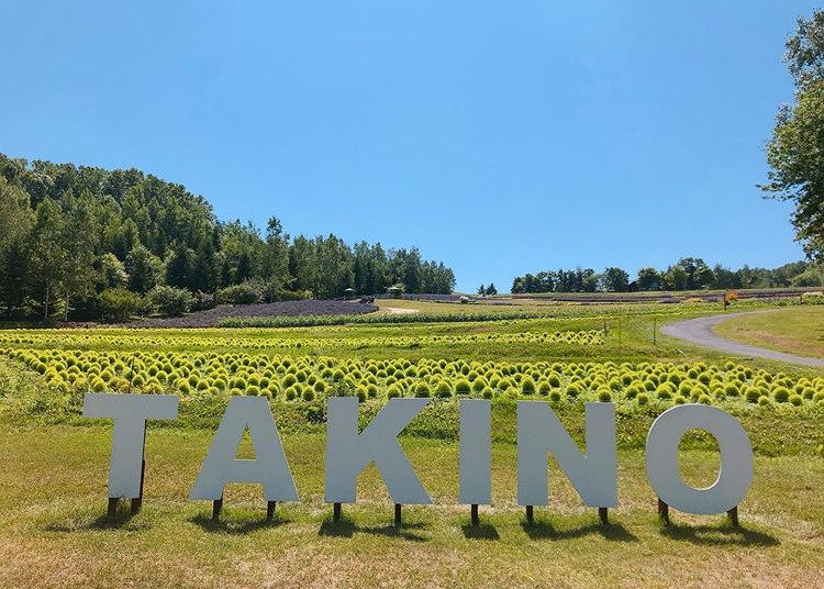 北海道唯一 札幌で800種の草花を見られる滝野すずらん丘陵公園 北海道観光情報 北海道内各地の観光情報サイト ツアーネット
